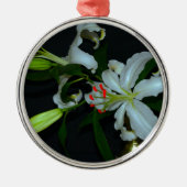 Sammlung irischer Muster und Blume Silbernes Ornament (Vorne)