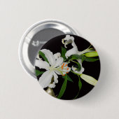 Sammlung künstlerischer Lippen-1 Button (Vorne & Hinten)