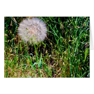 Sammlung "machen Sie eines Wunsches"