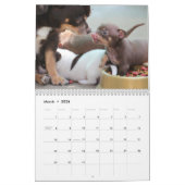 Sammlung niedlicher Welpen Foto Happy New Year Kalender (Mär 2026)