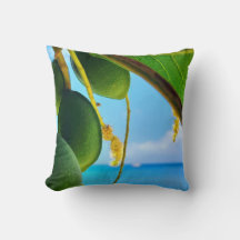 Sammlung tropischer Essenzen - tropisches Obst und