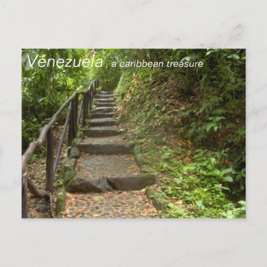 Sammlung: Venezuela, ein karibischer Schatz Postkarte (Vorderseite)