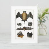 Sammlung verschiedener Fledermäuse Einladung (Stehend Vorderseite)