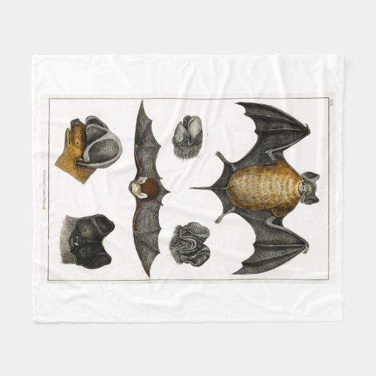 Sammlung verschiedener Fledermäuse Fleecedecke (Vorderseite (Horizontal))