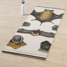 Sammlung verschiedener Fledermäuse