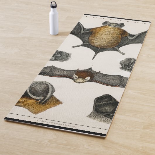 Sammlung verschiedener Fledermäuse Yogamatte (Beispiel)