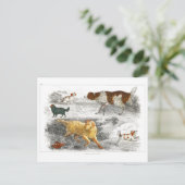 Sammlung verschiedener Hunde von Oliver Goldsmith Postkarte (Stehend Vorderseite)