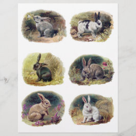 Sammlung Vintager Bunnies von H. Maguire