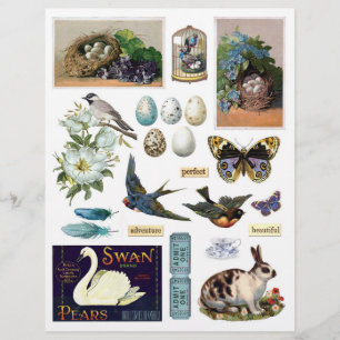 Sammlung Vintager Ephemera: Vögel und ein Sonnensc