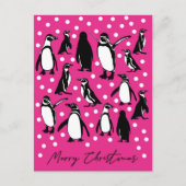 Sammlung von arktischen Tieren - Pinguine Postkarte (Vorderseite)