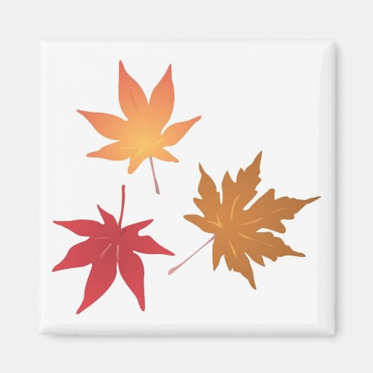 Sammlung von Blätter für Herbstmaple Magnet (Vorne)