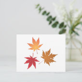 Sammlung von Blätter für Herbstmaple Postkarte (Stehend Vorderseite)