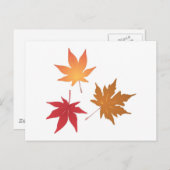 Sammlung von Blätter für Herbstmaple Postkarte (Vorne/Hinten)