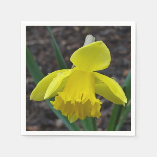 Sammlung von Blumengärten 6 Serviette (Vorderseite)