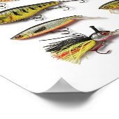 Sammlung von Fischmuscheln Poster (Ecke)