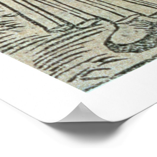 Sammlung von Heilkräutern, 1534 (Holzschnitt) Poster (Ecke)