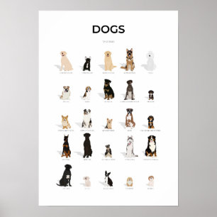Sammlung von Hundebrassen Poster