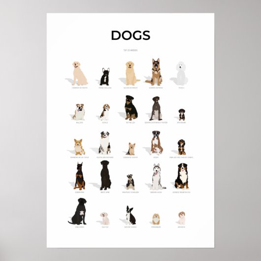 Sammlung von Hundebrassen Poster (Vorne)