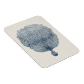 Sammlung von Küsten in Indiz VI Magnet (Rechte Seite)