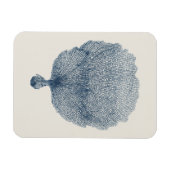 Sammlung von Küsten in Indiz VI Magnet (Horizontal)