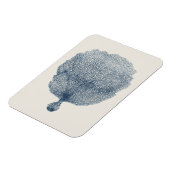 Sammlung von Küsten in Indiz VI Magnet (Linke Seite)