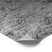 Sammlung von Lizenzplaten aus den 30er Jahren Poster (Ecke)