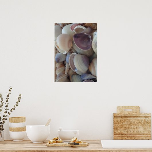 Sammlung von Muscheln, Poster, Natur, Sommer Stran Poster (Küche)
