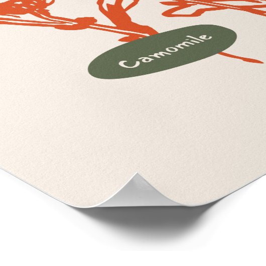 Sammlung von Naturkunstplakaten Poster (Ecke)