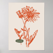 Sammlung von Naturkunstplakaten Poster (Vorne)