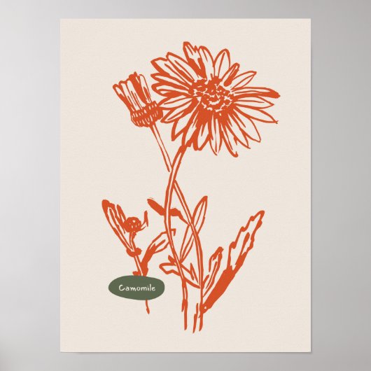 Sammlung von Naturkunstplakaten Poster (Vorne)