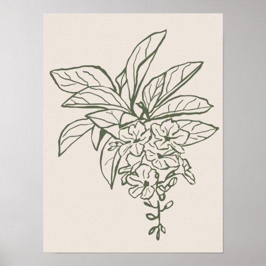 Sammlung von Naturkunstplakaten Poster (Vorne)