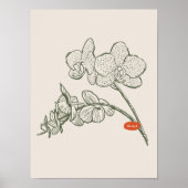 Sammlung von Naturkunstplakaten Poster (Vorne)