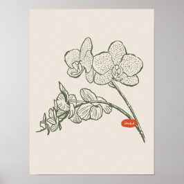 Sammlung von Naturkunstplakaten Poster