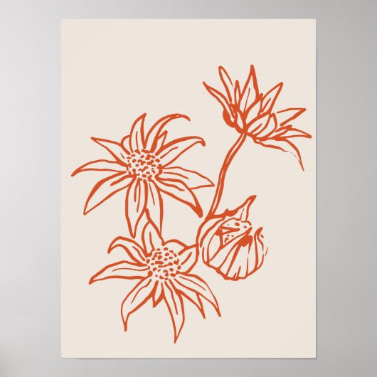 Sammlung von Naturkunstplakaten Poster (Vorne)