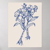 Sammlung von Naturkunstplakaten Poster (Vorne)