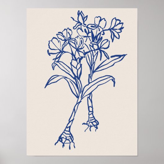 Sammlung von Naturkunstplakaten Poster (Vorne)