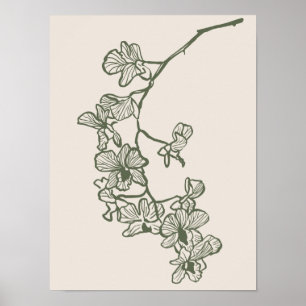 Sammlung von Naturkunstplakaten Poster
