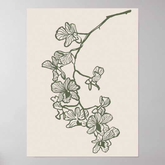 Sammlung von Naturkunstplakaten Poster (Vorne)