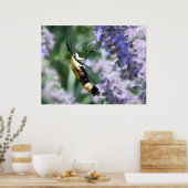 Sammlung von Nectar - Fotografie von JB Originals Poster (Küche)