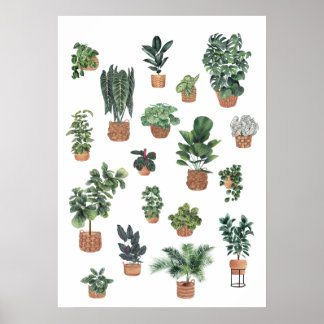 Sammlung von Pflanze 6 Poster