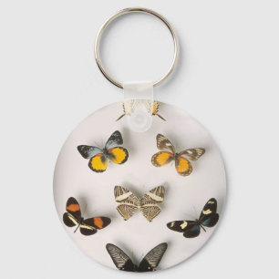 Sammlung-von-Schmetterlinge, Schlüsselanhänger
