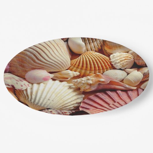 Sammlung von Seashells Scallops Clams and Conch Pappteller (Schrägansicht)