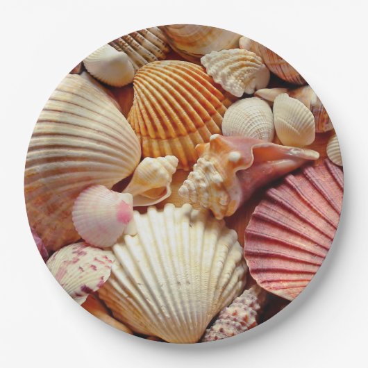 Sammlung von Seashells Scallops Clams and Conch Pappteller (Vorderseite)