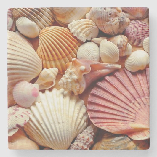 Sammlung von Seashells Scallops Clams and Conch Steinuntersetzer (Vorderseite)