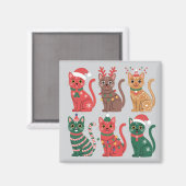 Sammlung von sechs Katzen Magnet (Vorderseite/Rückseite)