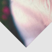 Sammlung von weißen Hunden und Rose Seidenpapier (Ausschnitt)