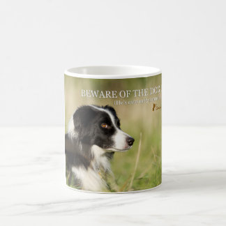 Sammy die sarkastische Border-Collie Kaffeetasse