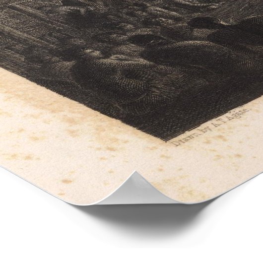 Samoan Dance Poster (Ecke)