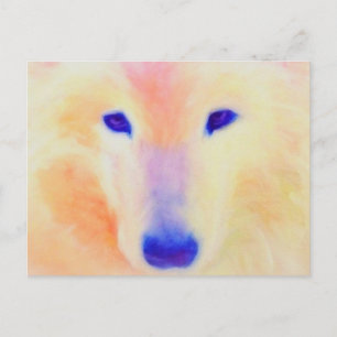 Samoid Postcard Postkarte