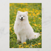 Samojed Bar Menükarte (Rückseite)